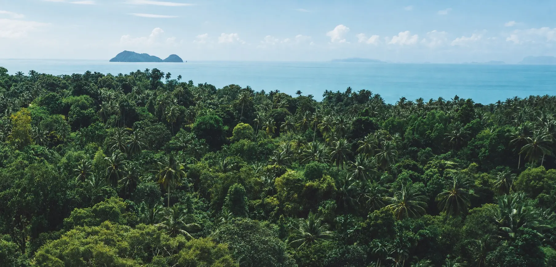 SUNAX Village tropical landscape